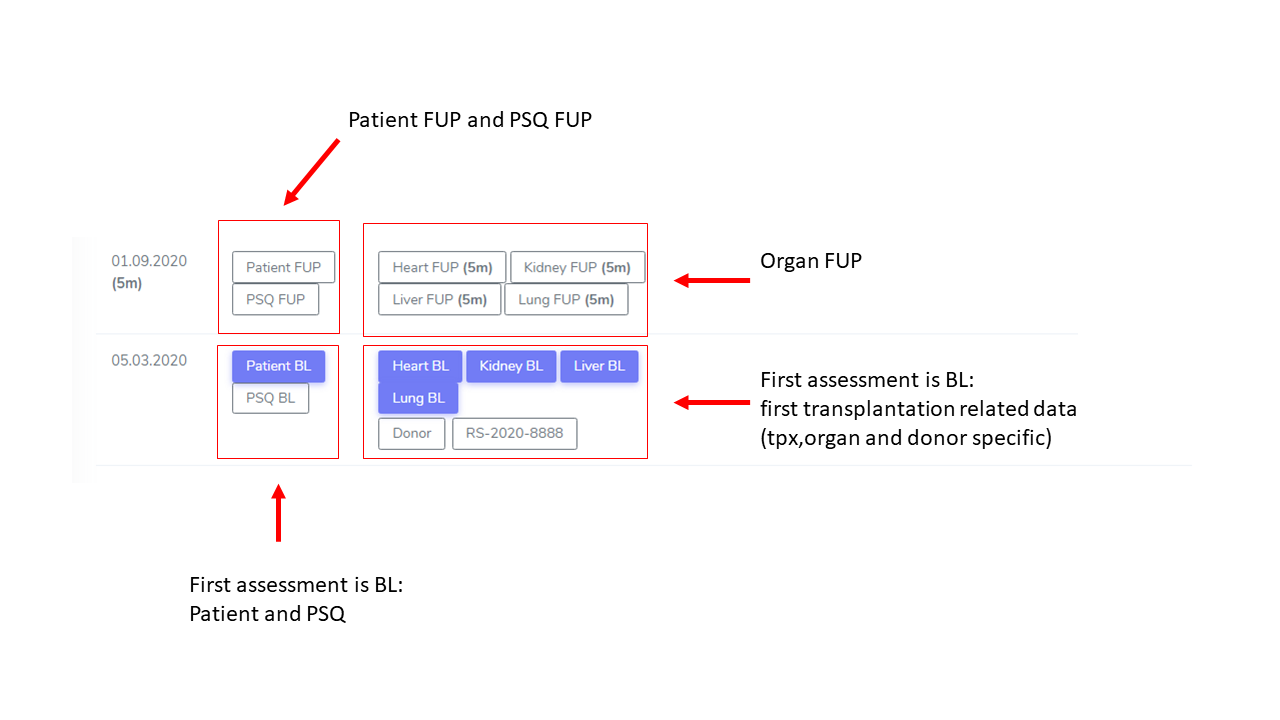 _images/overview3.png